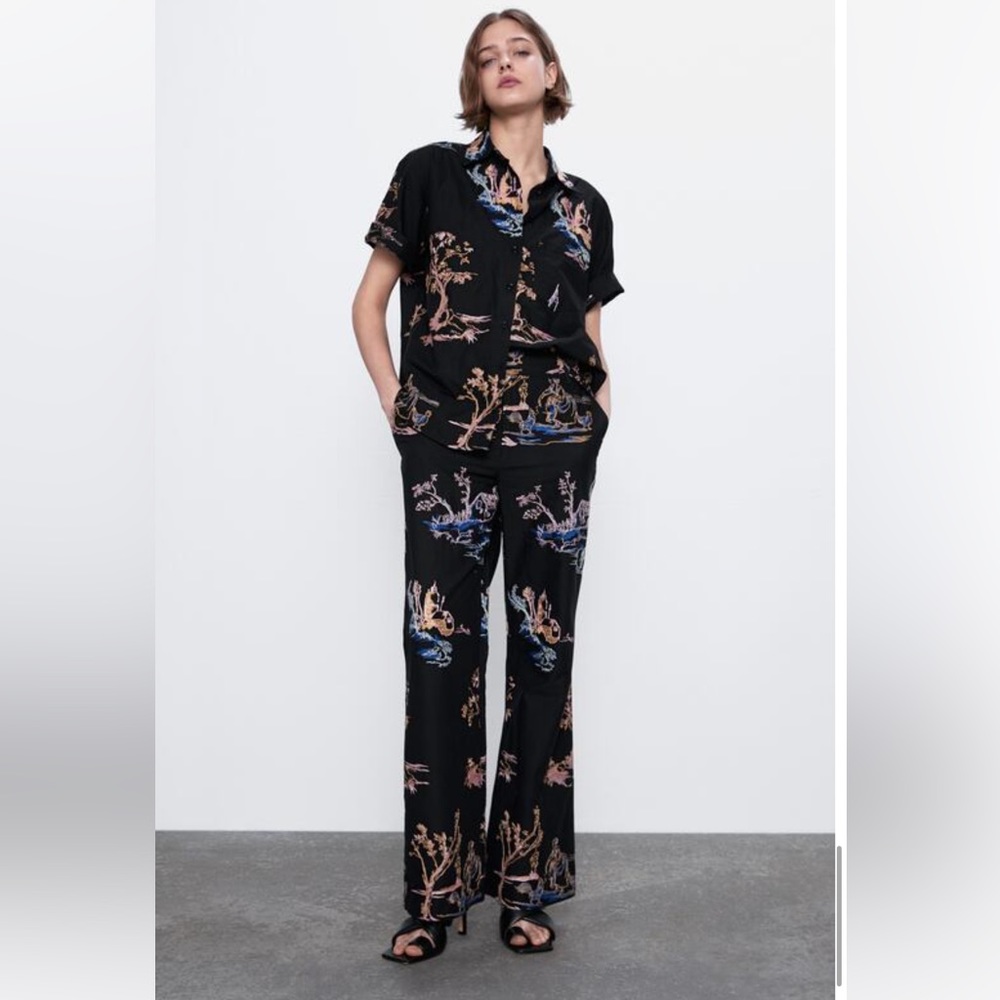 Zara EMBROIDERED PANTS